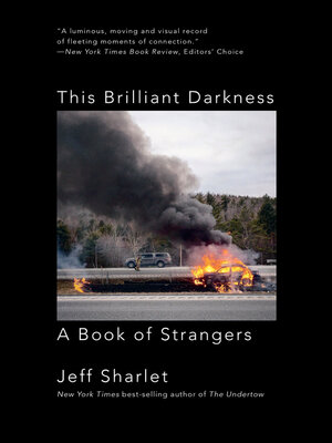 cover image of This Brilliant Darkness